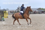 BPP_3731