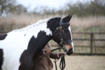 SBM_008025