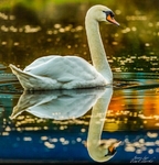IMG_2714-Edit-2