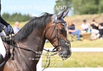 BPP_7290