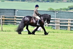 SBM_07982