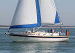 100523 FALCON IMG_3115
