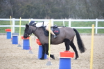 SBM_003987