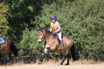 WJ6_8779