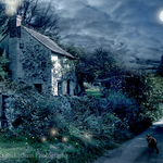 The Witches House