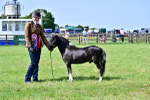SBM_03686