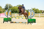 SBM_006096