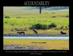 Accountability Poster Lamar Wolves