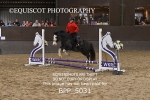 BPP_5031