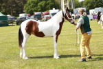SBM_04190