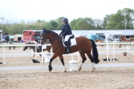 SBM_00502