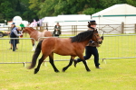 SBM_00265