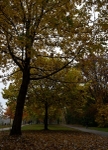 JamesGarden2310-16
