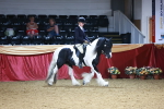 SBM_23461
