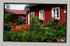 Eija's Garden 5