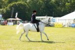 SBM_13354