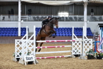SBM_001788