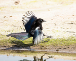 20140503-3K8A0848