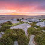 Carl Wark Pink Sunrise