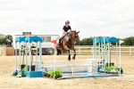 SBM_018977