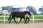 SBM_05044