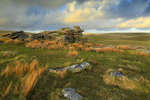 Leeden Tor