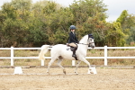 SBM_003586