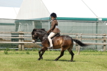 SBM_06847