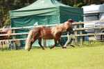 SBM_01809