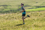 Tebay U13-112