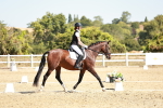 SBM_017491