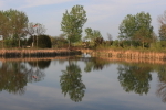 Spring reflections 2012