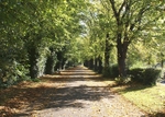 Wellingborough