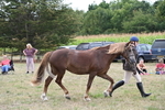 WJ6_6166