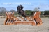 BPP_1901