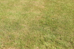 SBM_00722