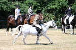 WJ7_3659