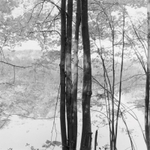 C major Fugue, Moreau Lake, New York 2011