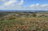 Park Point View