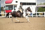 SBM_15237