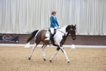 SBM_000966
