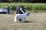WJ6_4801