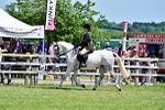 SBM_17458