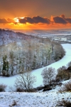 z2590 Snowy Sunset Knighton