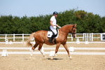 SBM_010776