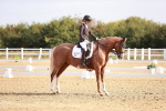 SBM_016849