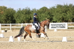 SBM_015985