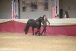 SBM_05494
