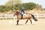 SBM_017334
