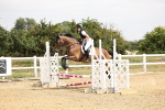 SBM_001441